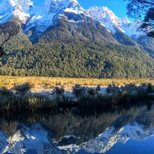 Meet your Posher, Brady